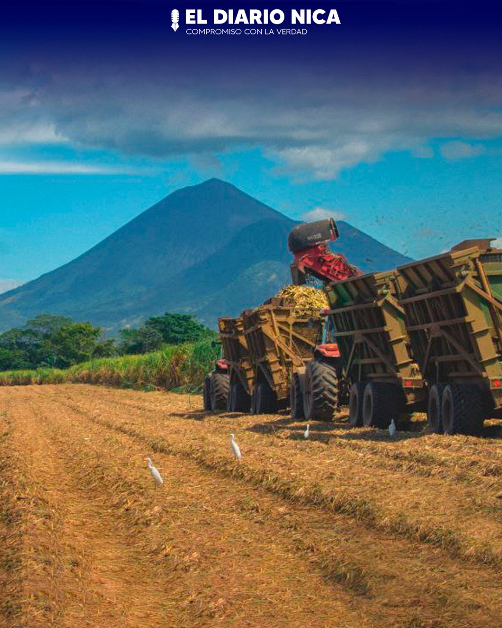 Nuevo récord de producción azúcar en Nicaragua
