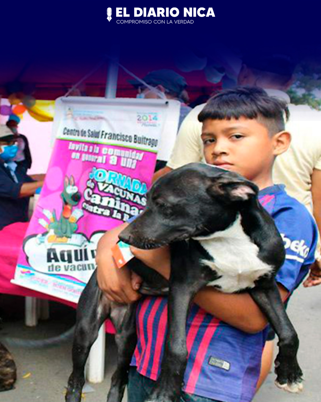 Jornada de vacunación contra la rabia a caninos en el barrio Las Torres