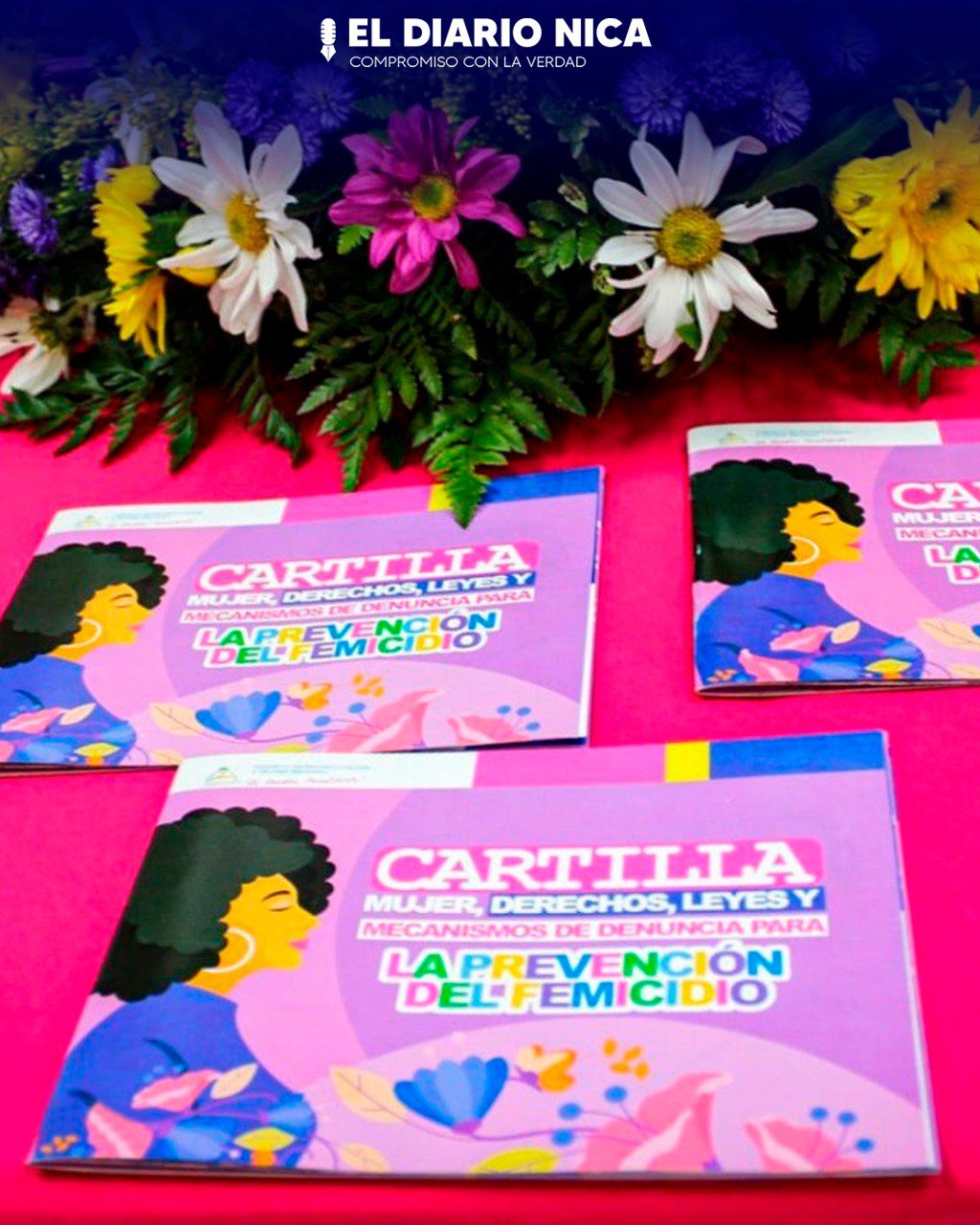 Nueva cartilla para prevenir femicidios