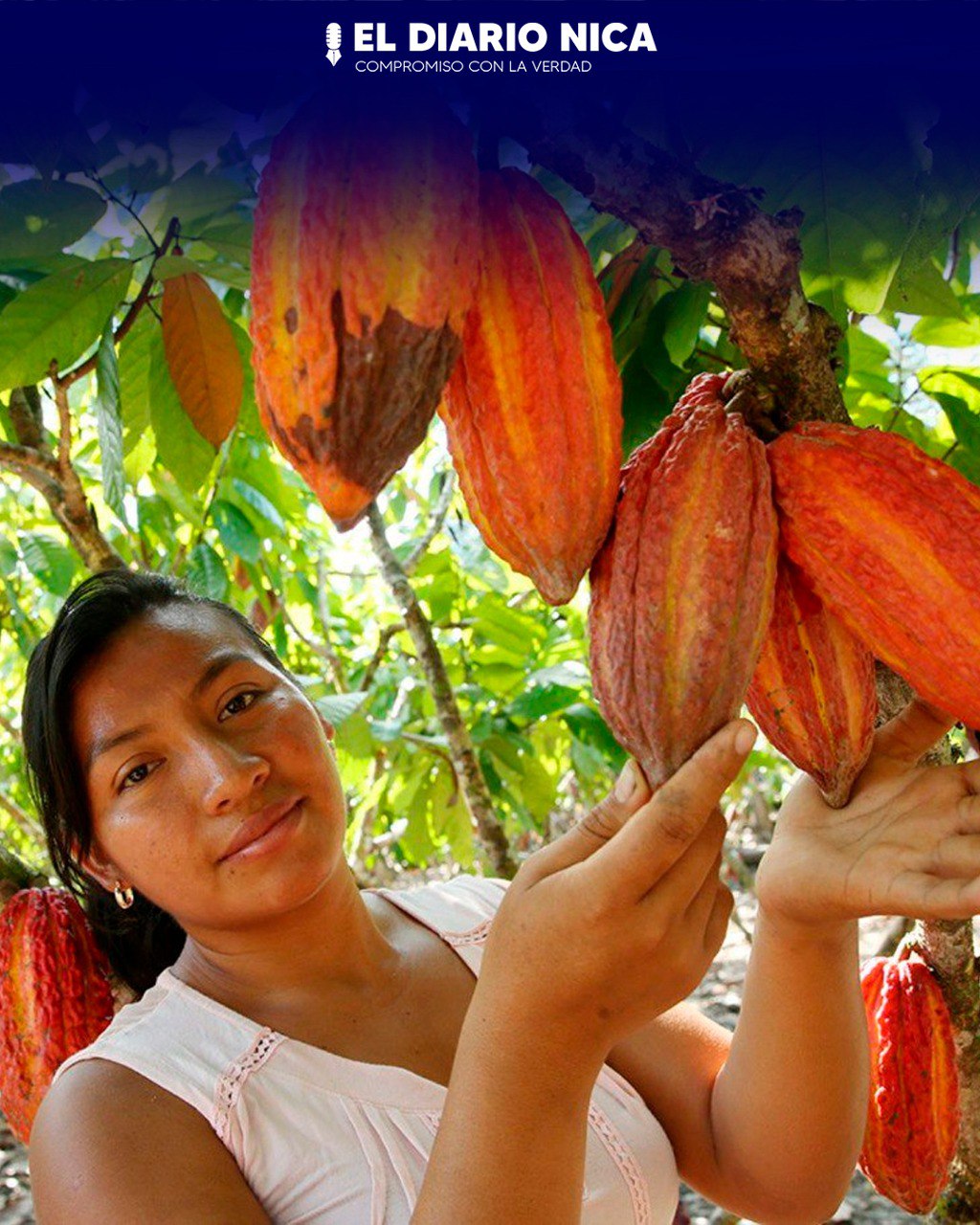 Se inaugura emprendimiento familiar de Cacao