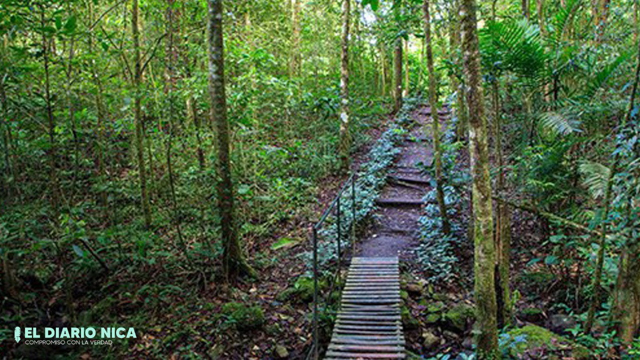 Reserva natural Cerro Arenal El Diario Nica