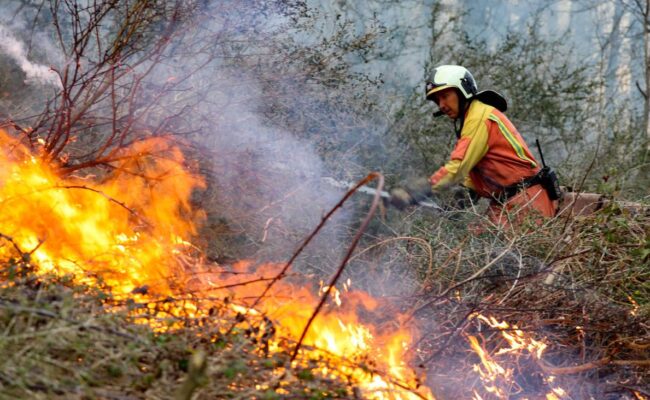 Asturias sufre más de 120 incendios forestales