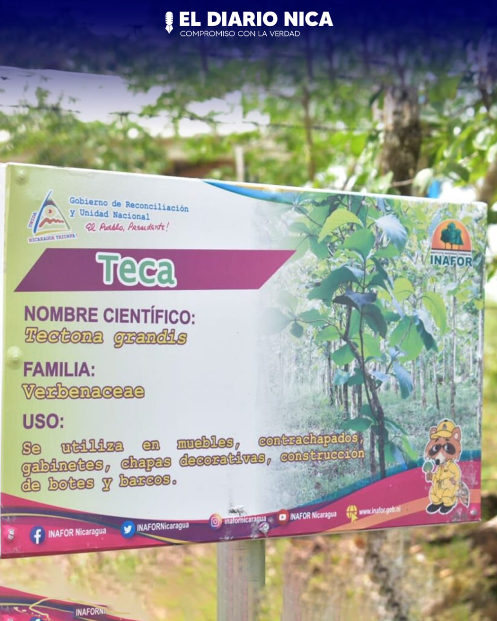 Nuevo Arboretum en comunidad Nuevo San Antonio