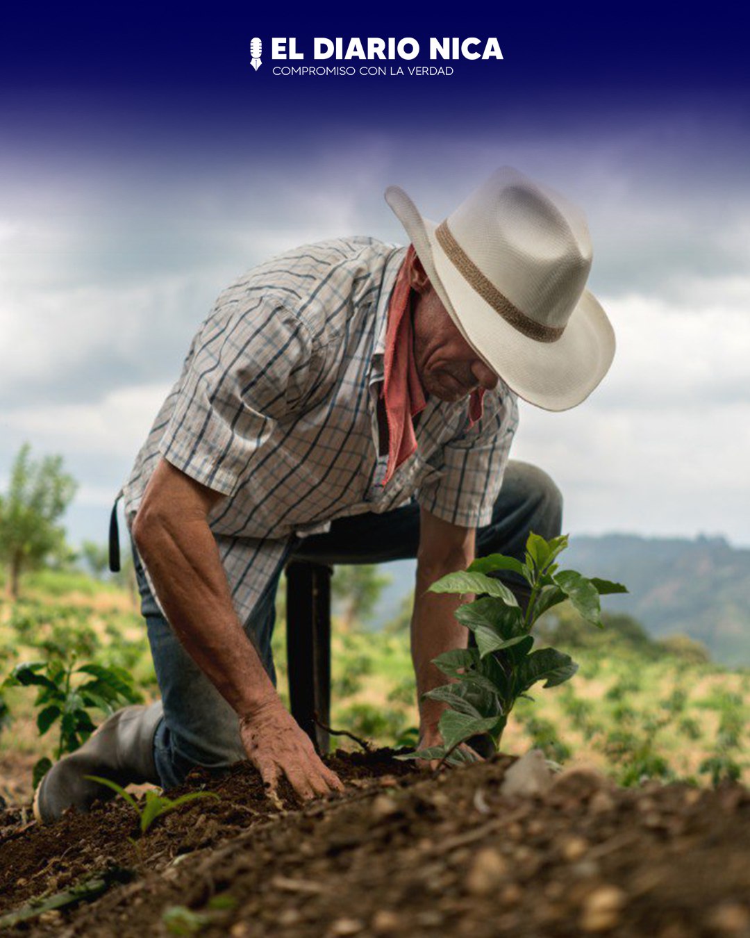 Estrategias agropecuarias para enfrentar el fenómeno de El Niño