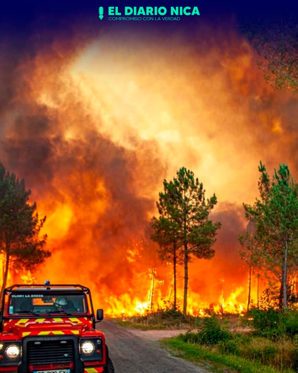 Incendio forestal en Portugal