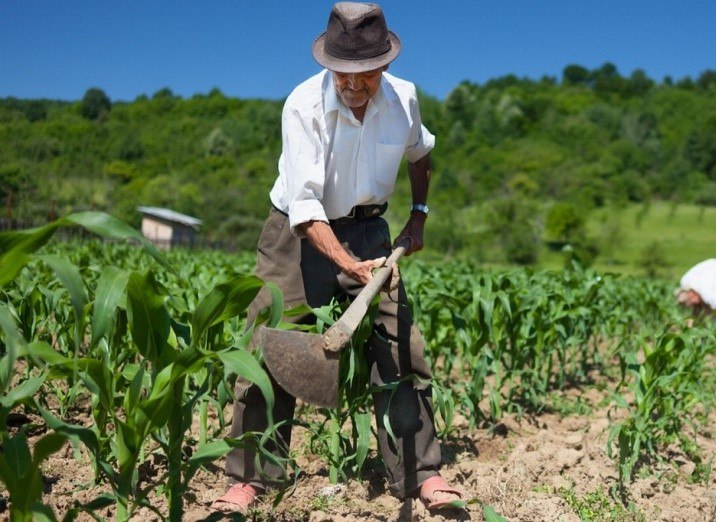 Día Nacional Del Campesino - El Diario Nica