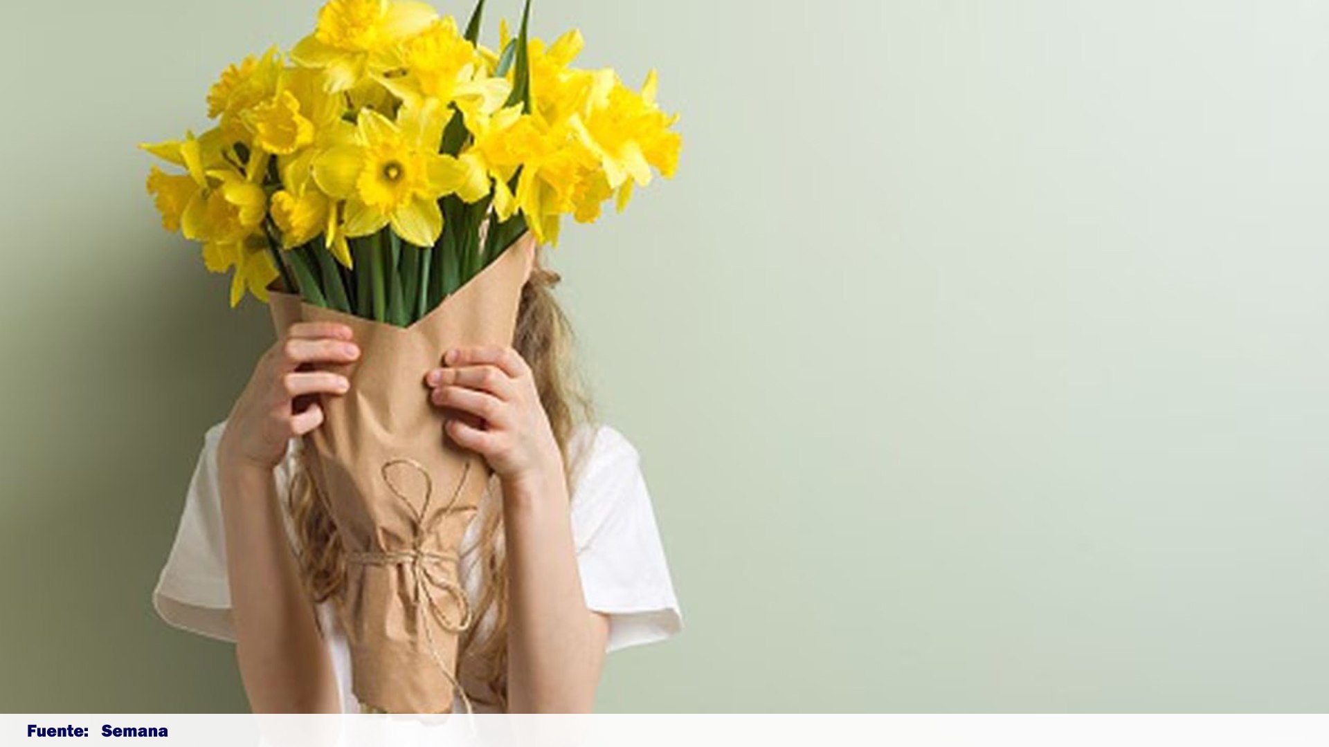 ¿Qué significa regalar flores amarillas?