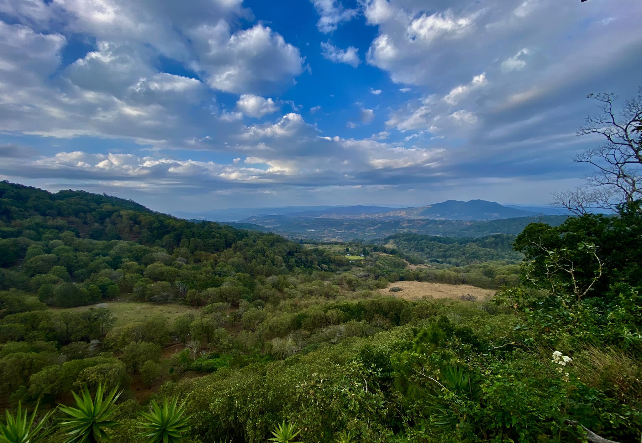 Reserva Natural Tisey Estanzuela