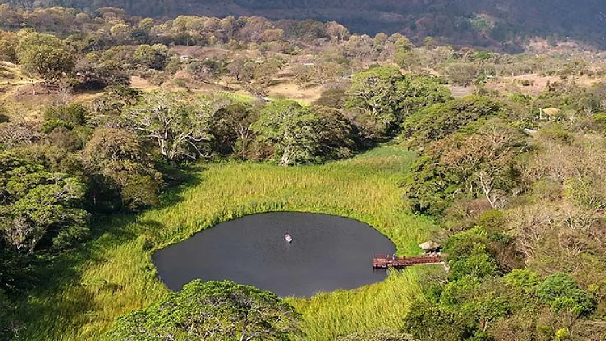 Humedal laguna la bruja