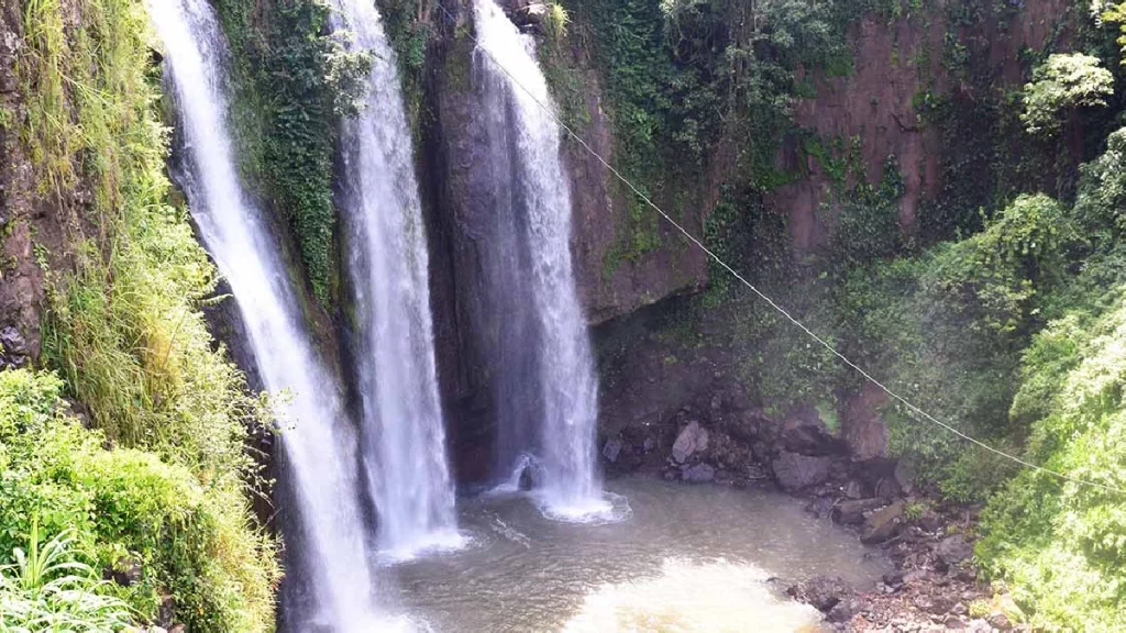 Este lugar aún conserva intacta su flora y fauna / WEB