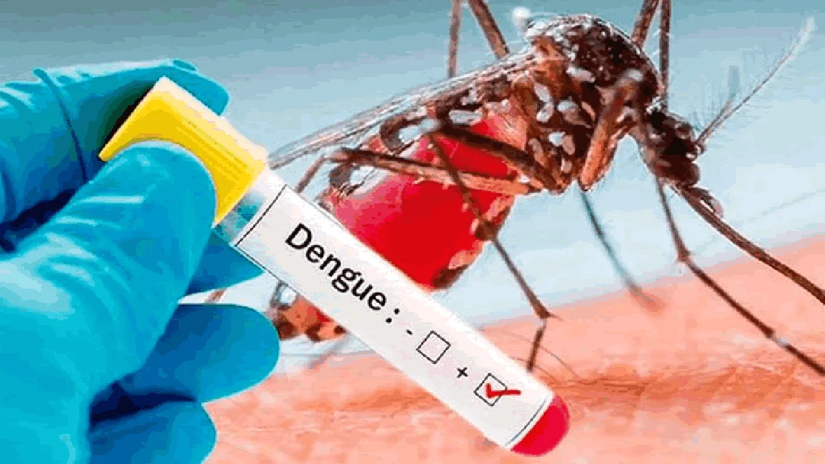 América Latina en emergencia por el aumento del dengue