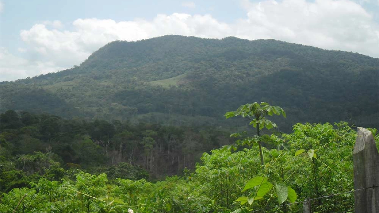 Parque Nacional Cerro Saslaya