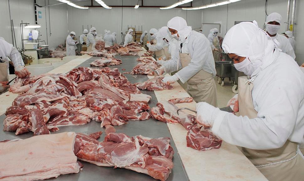 Impresionante producción y exportación de carne en Nicaragua