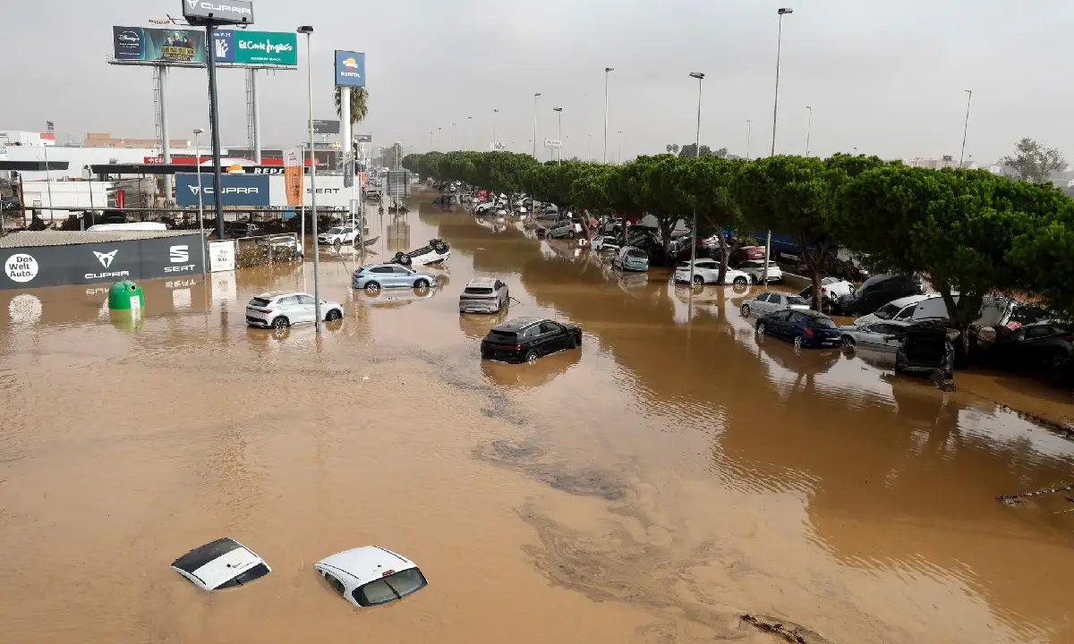 Argentina ofrece ayuda humanitaria a España