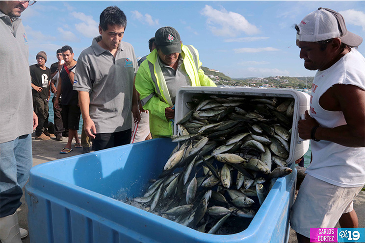 El INPESCA Refuerza la Sostenibilidad y Protección de los Recursos Pesqueros en Nicaragua