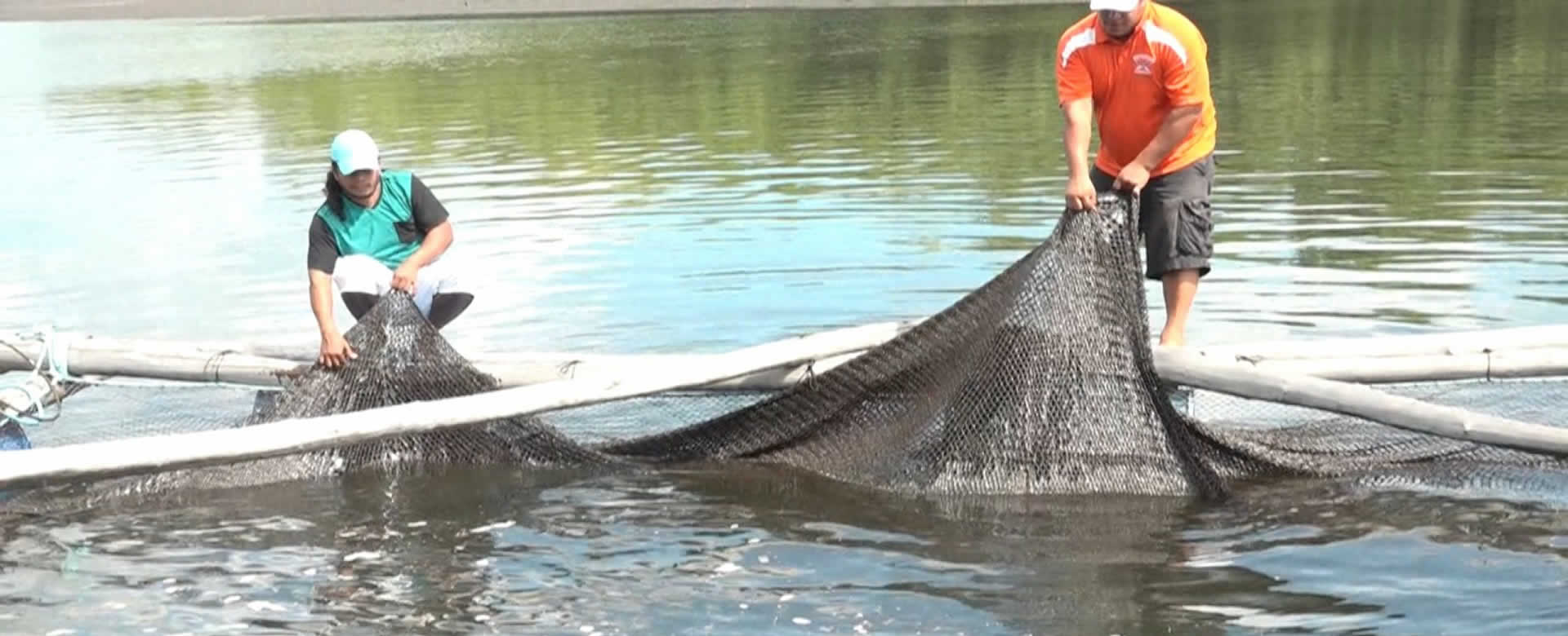 Gobierno Regional del Caribe Norte y INPESCA coordinan preparativos para la temporada de pesca de Pepino