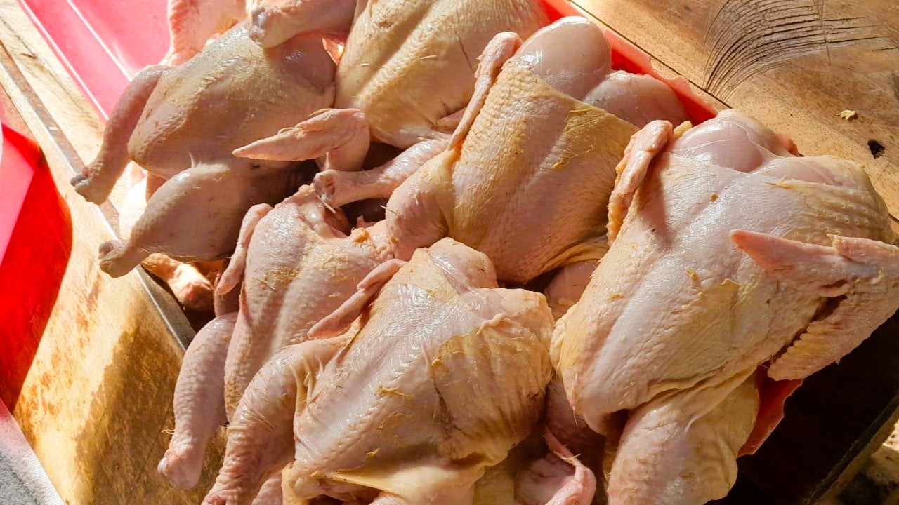 Producción de pollo fortalece la seguridad alimentaria 