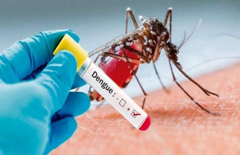 Disminuyen casos de Influenza