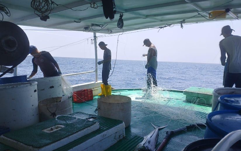 INPESCA realiza monitoreo biológico de especies marinas
