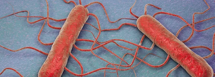 La FDA investiga brote de Listeria