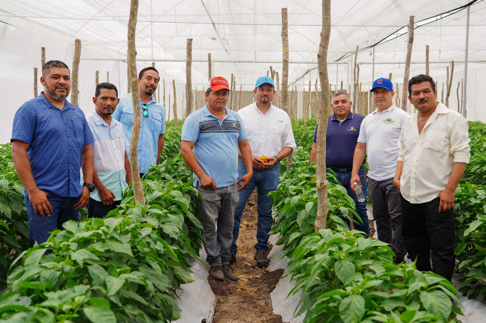 Impulsan producción sostenible de hortalizas