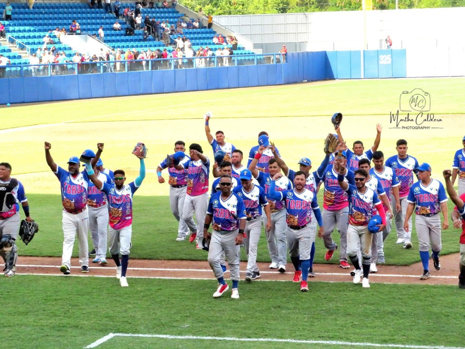 Toros cornean a las Fieras en el Carlos Guerra Colindres.