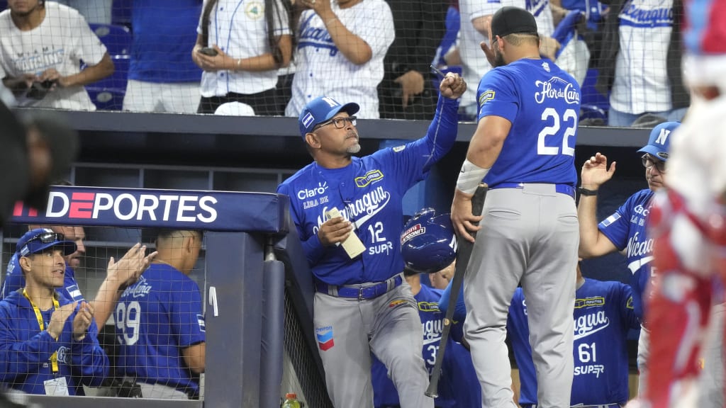 Nicaragüenses en ligas invernales