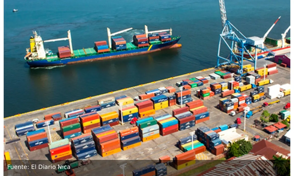 Exportaciones crecen y superan los $7,387 millones