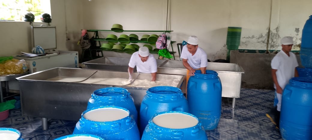 Registran más de 151 millones de galones de leche