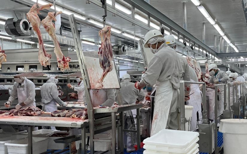 Producción bovina pega récord en 2025