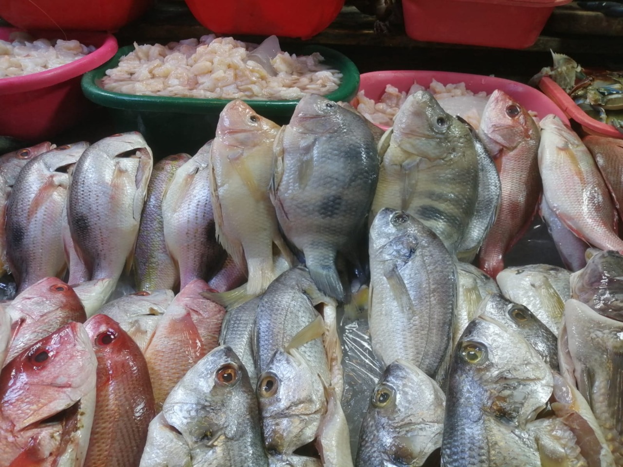 Mariscos con precios estables